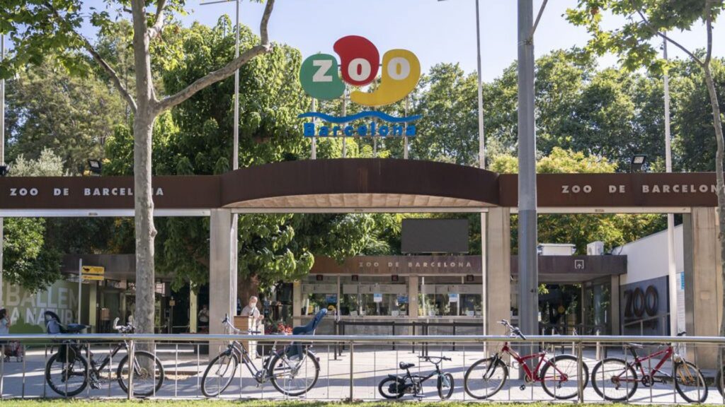 zoo barcelona