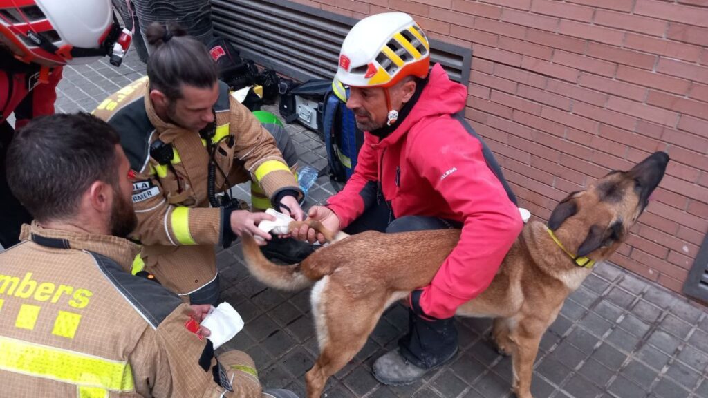 Els bombers treballaran 24 hores per desenrunar l'edifici de Badalona: hi ha tres desapareguts | Accidents, Bombers de la Generalitat