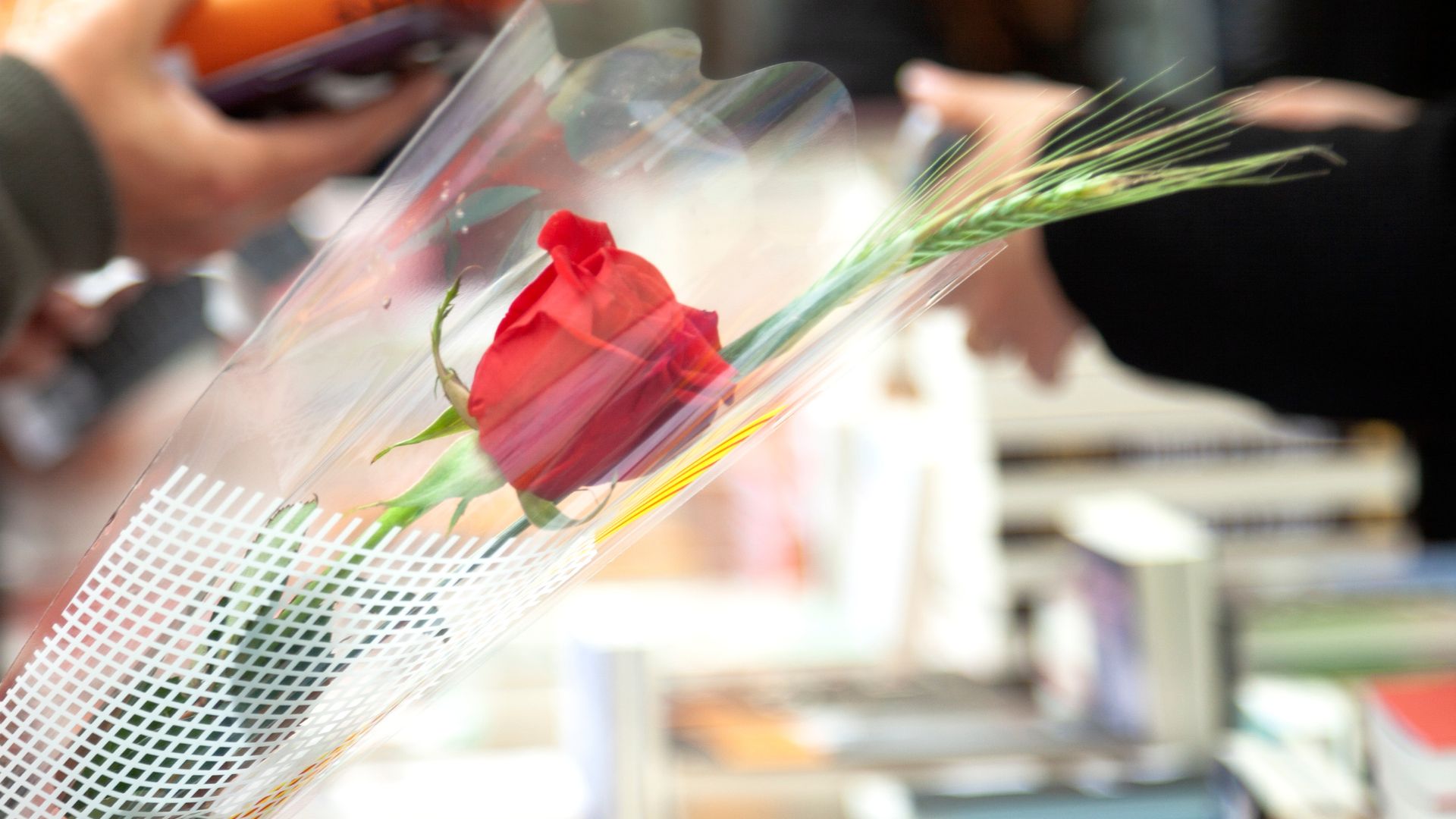 Sant Jordi 2025 a Sant Martí