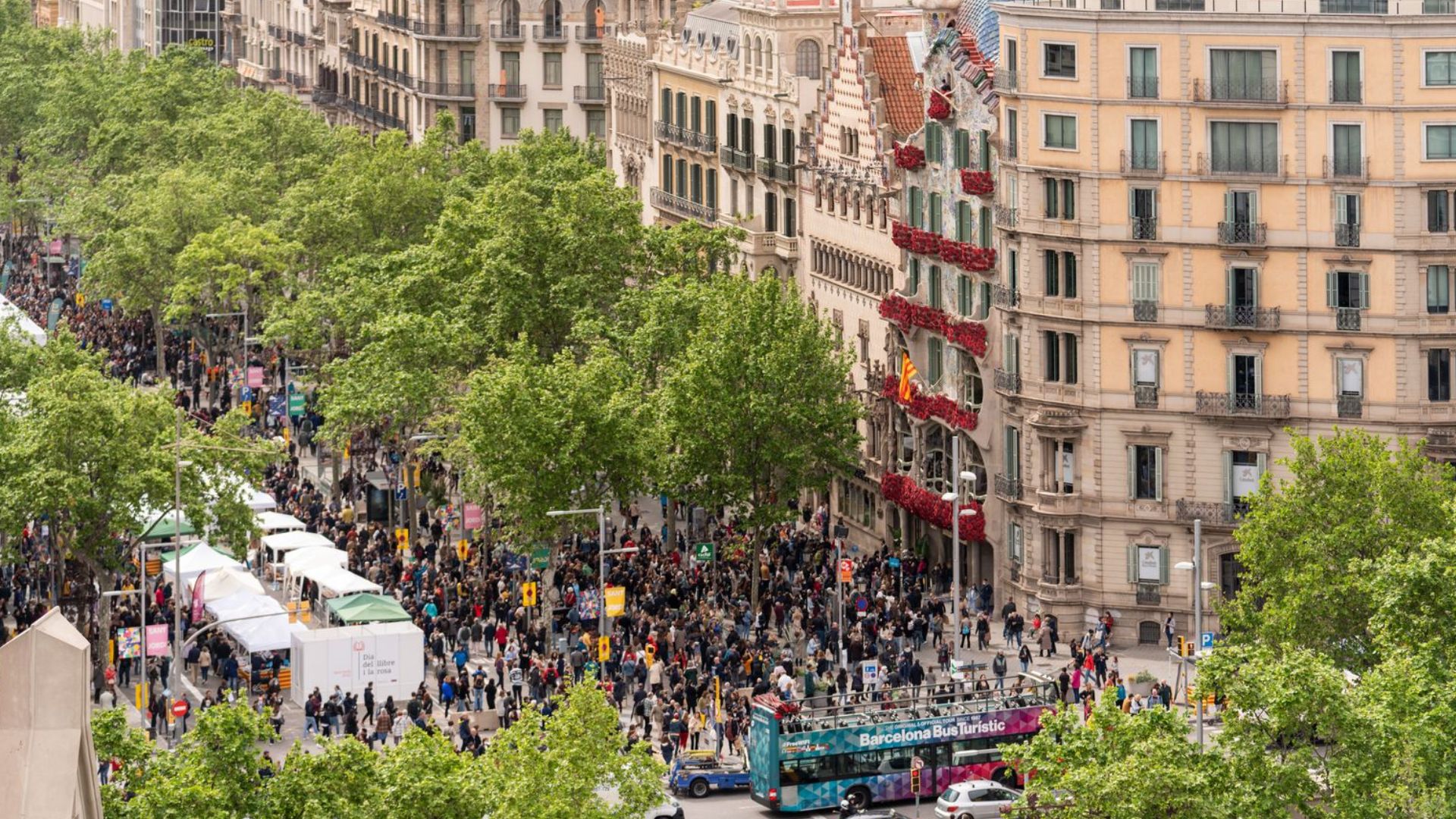 activitats Sant Jordi 2025 Eixample
