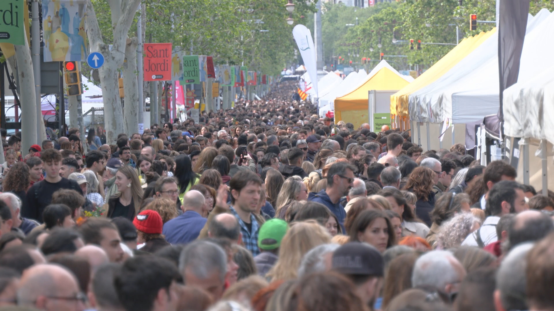 superilla Sant Jordi 2025