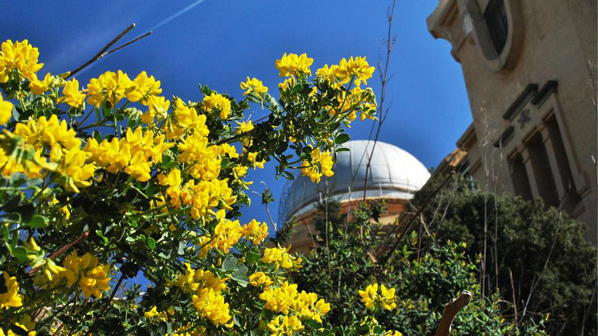 primavera a l'Observatori Fabra