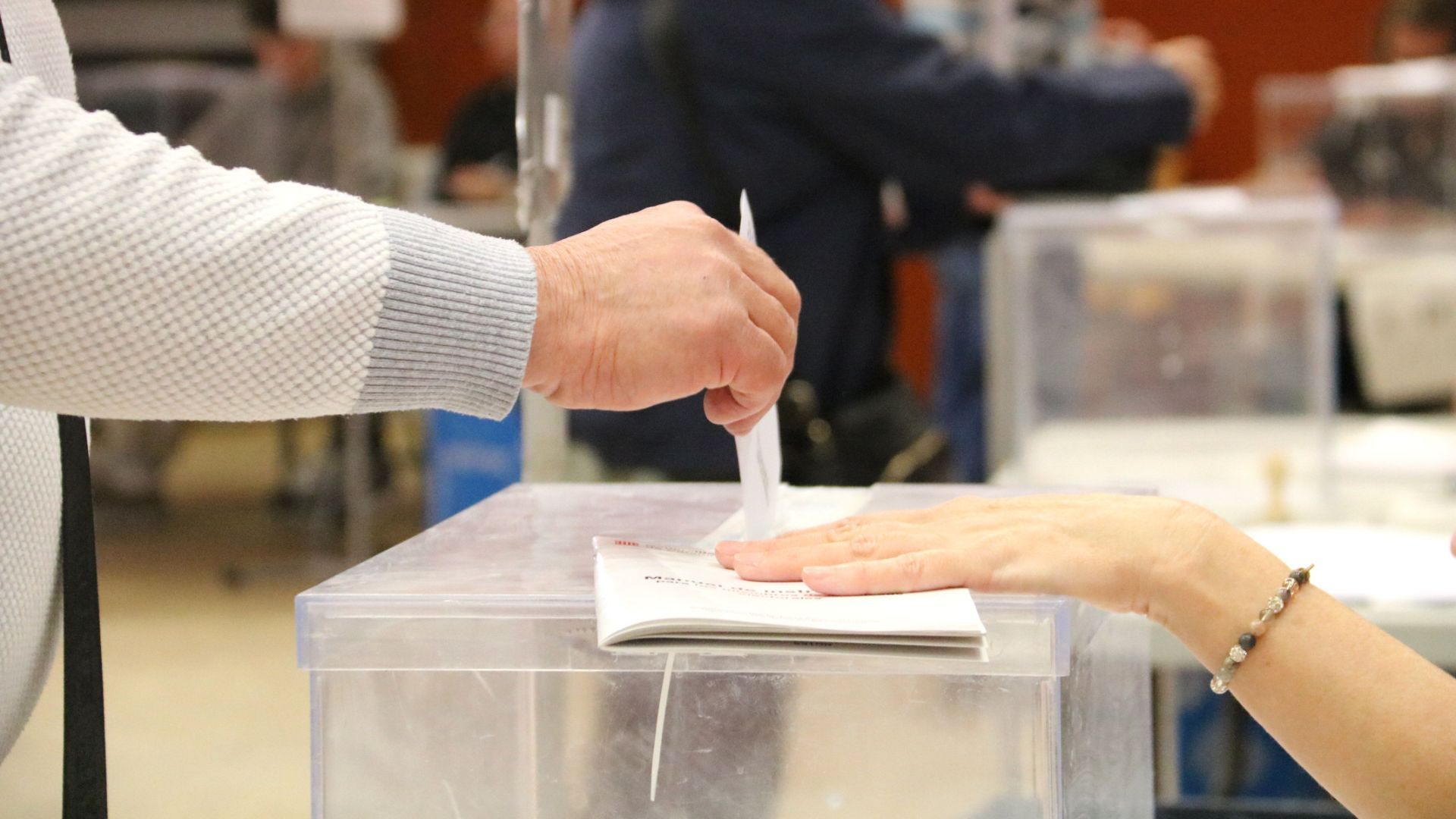 horari colegis electorals 12 maig