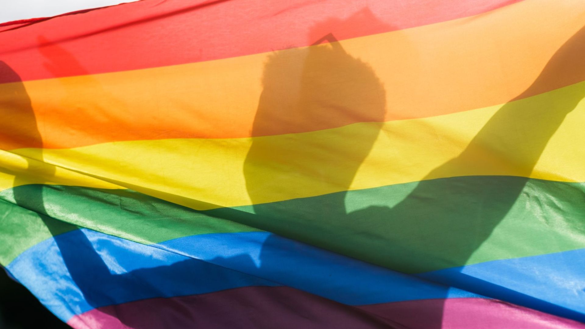 L Observatori Contra La LGTBI f bia Demana M s Inversi 