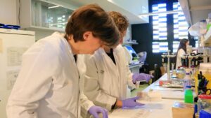 Una anàlisi de sang permetrà detectar el risc d’Alzheimer de forma precoç