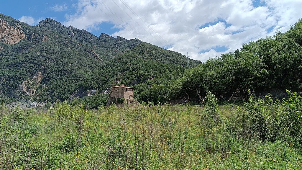 El nou bosc de ribera de la capçalera de la Baells comença a submergir-se sota l'aigua | VIDEO | bosc, sequera