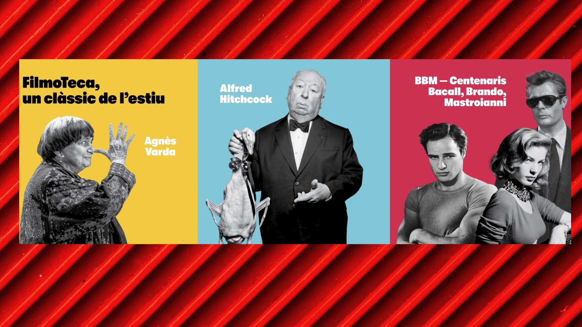 cicles estiu Filmoteca