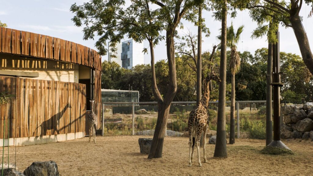 Dart Festival Barcelona 2025: Programa i dates del cinema documental d'art contemporani | Art, documental, pel·lícules