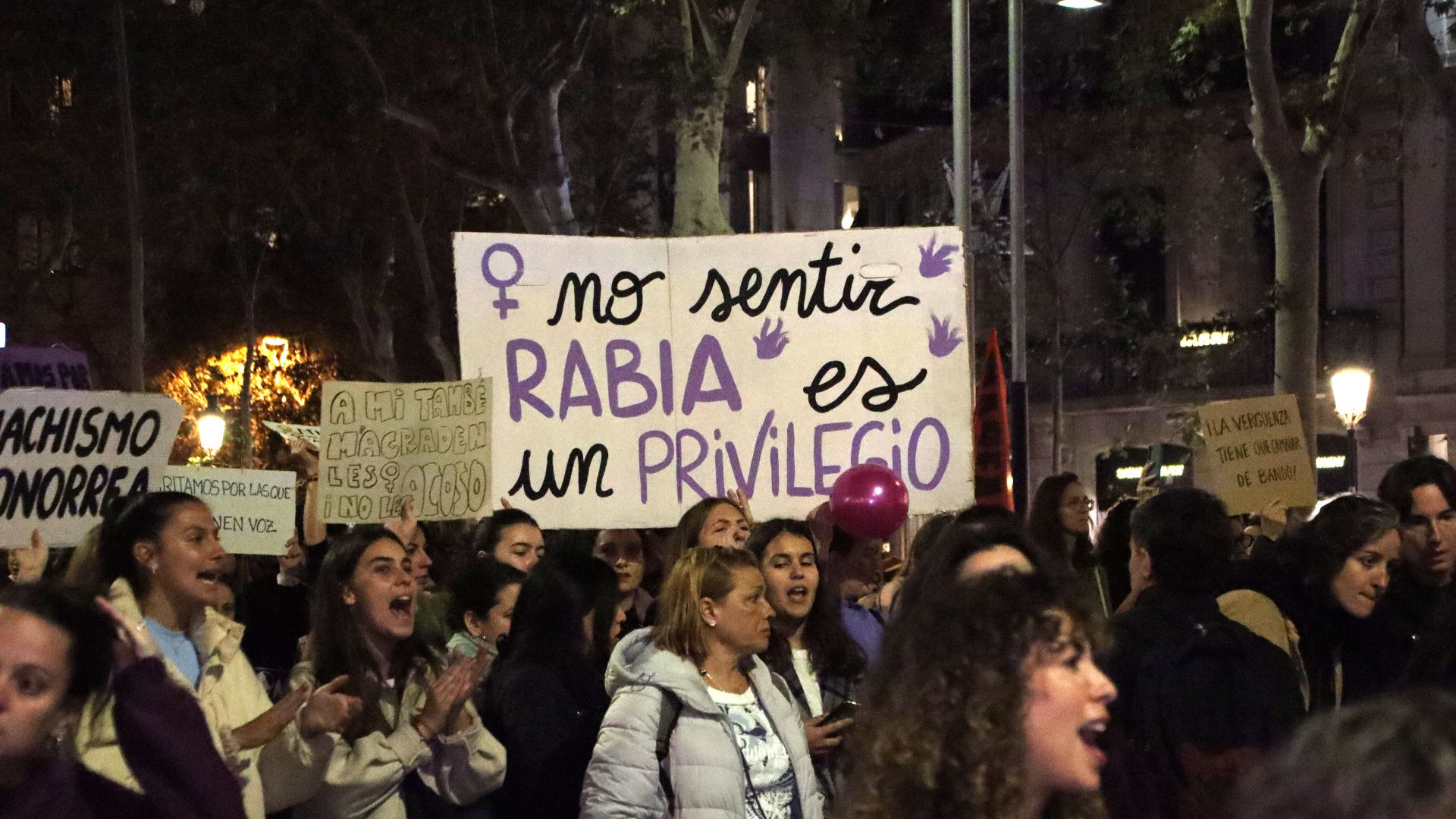 manifestacio 25n violencia masclista