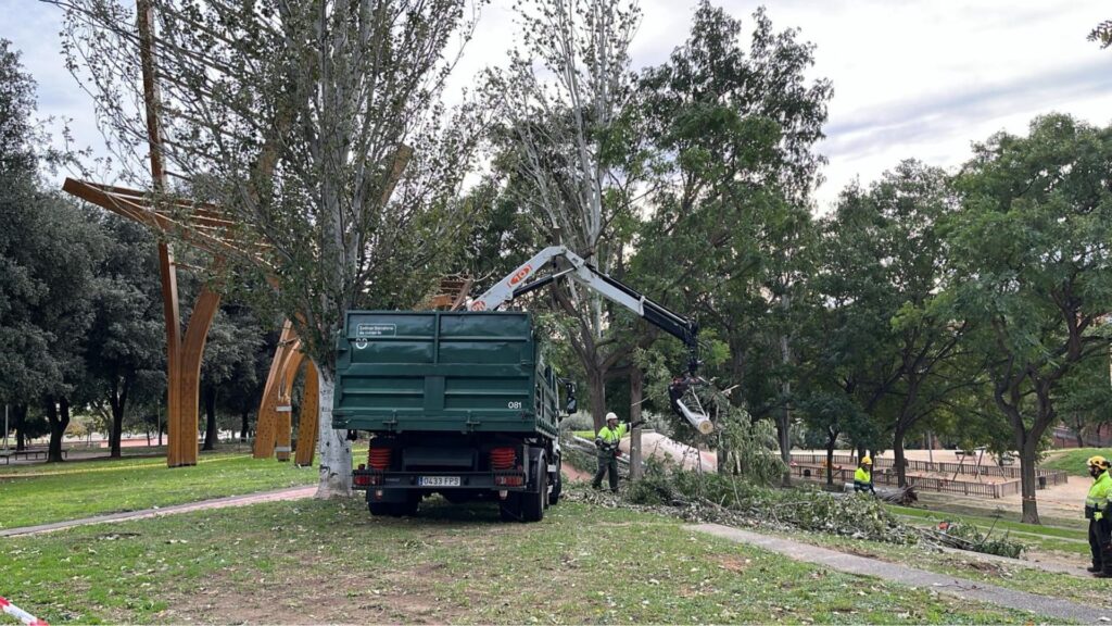 retiren arbres diapas&oacute; Parc Central Nou Barris