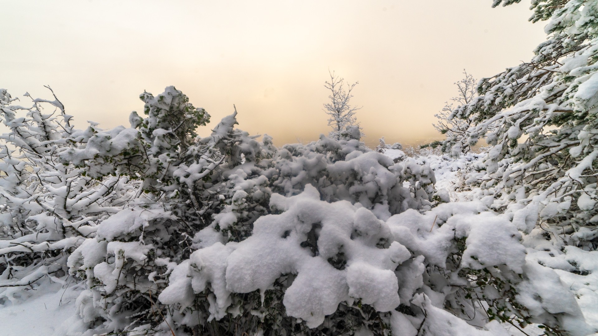 que-fon-mes-la-neu-boira-pluja-sol