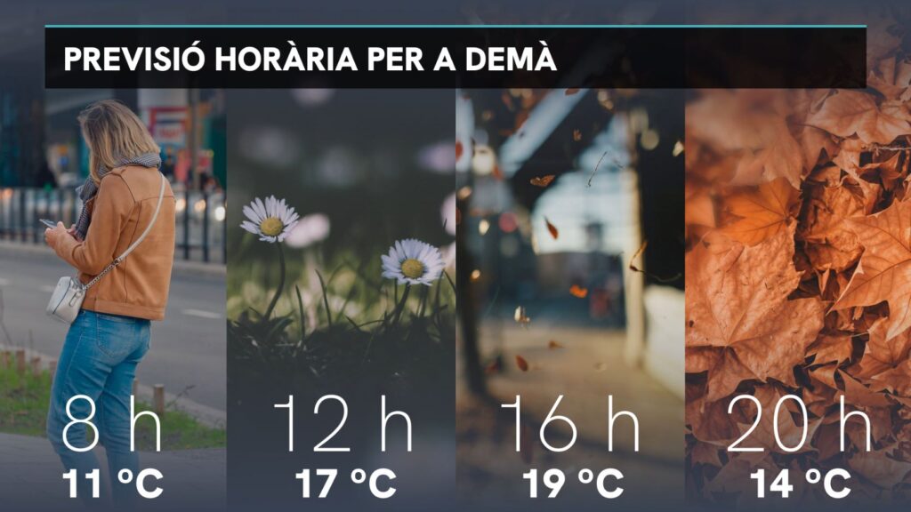 Previsió del temps per a divendres, 24 de gener: sensació primaveral |