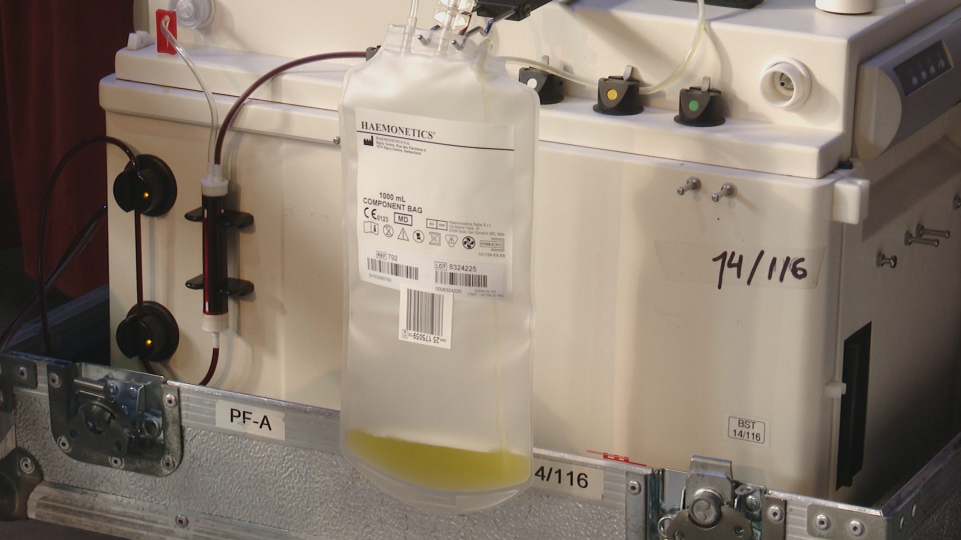 donacio plasma marato donants sang