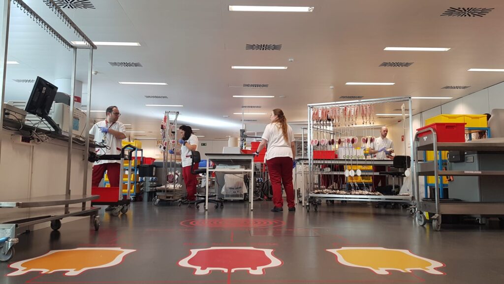 treballadors Banc de Sang i Teixits