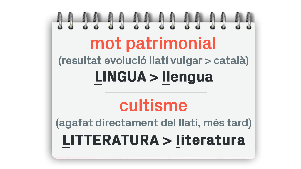 Donem la paraula al mot "llengua", interlocutor del Dia Internacional de la Llengua Materna | català, llengua, Mots endiumenjats
