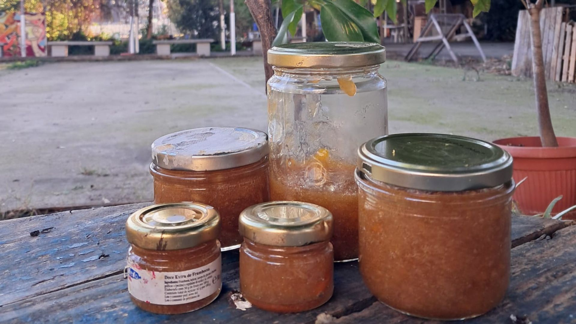 melmelada mandarina espai natural estacio magoria