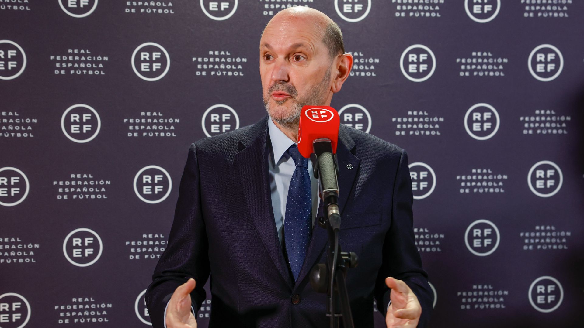 Rafael Louzán canvi model estructural arbitral