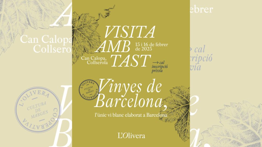 Can Calopa treu el seu primer vi blanc i el deixarà tastar per celebrar Santa Eulàlia | Collserola, Parc Natural de Collserola, vins