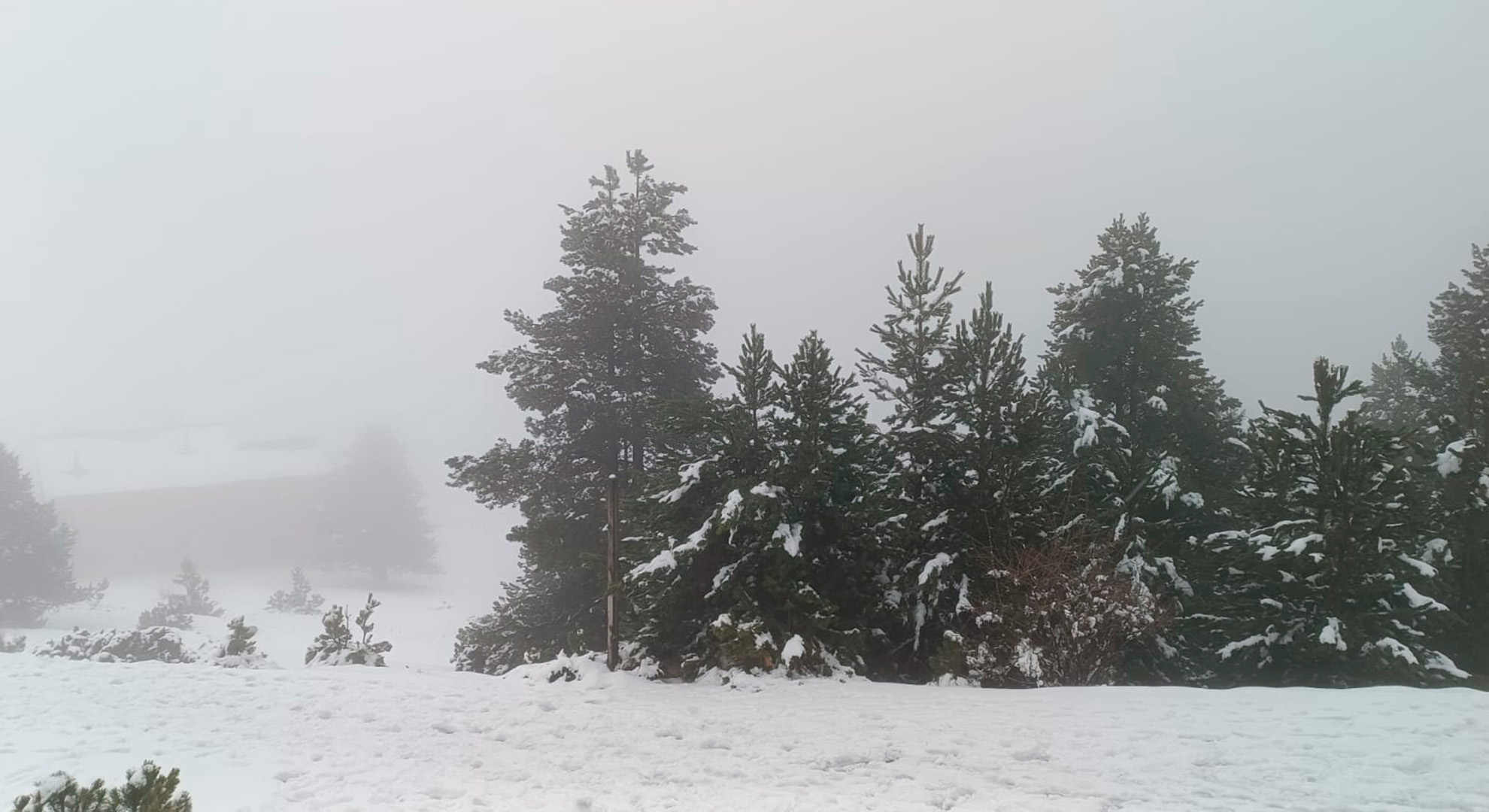 neu pirineus març 2025