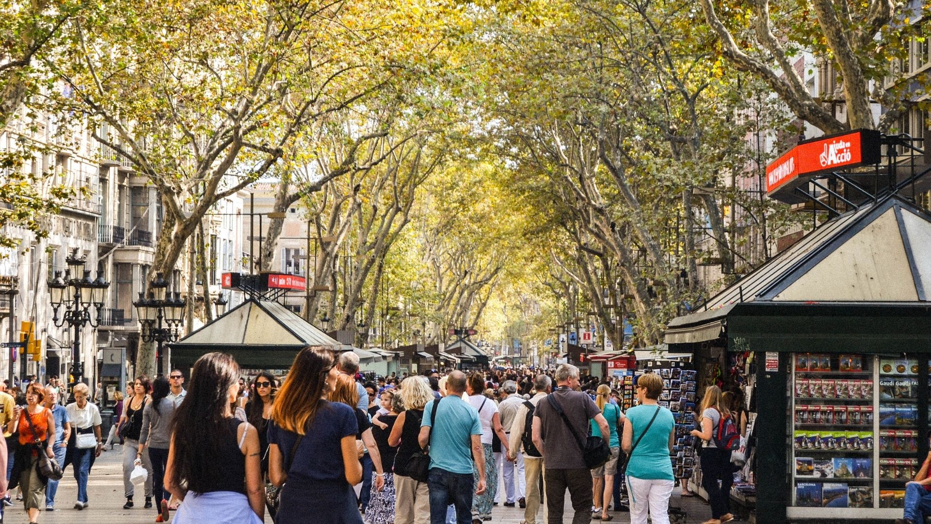 turisme limit barcelona