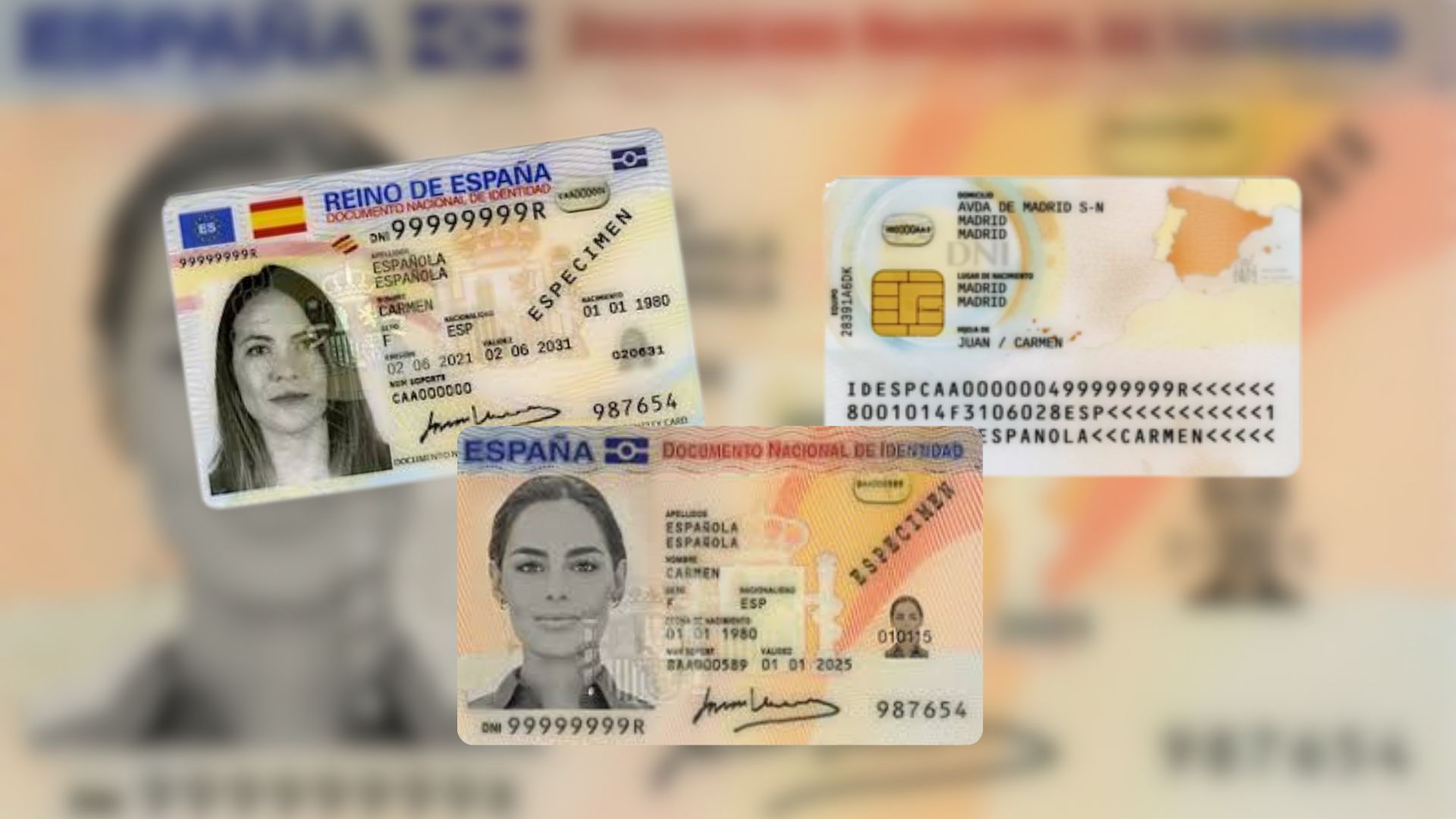 Imatges: Viquipèdia