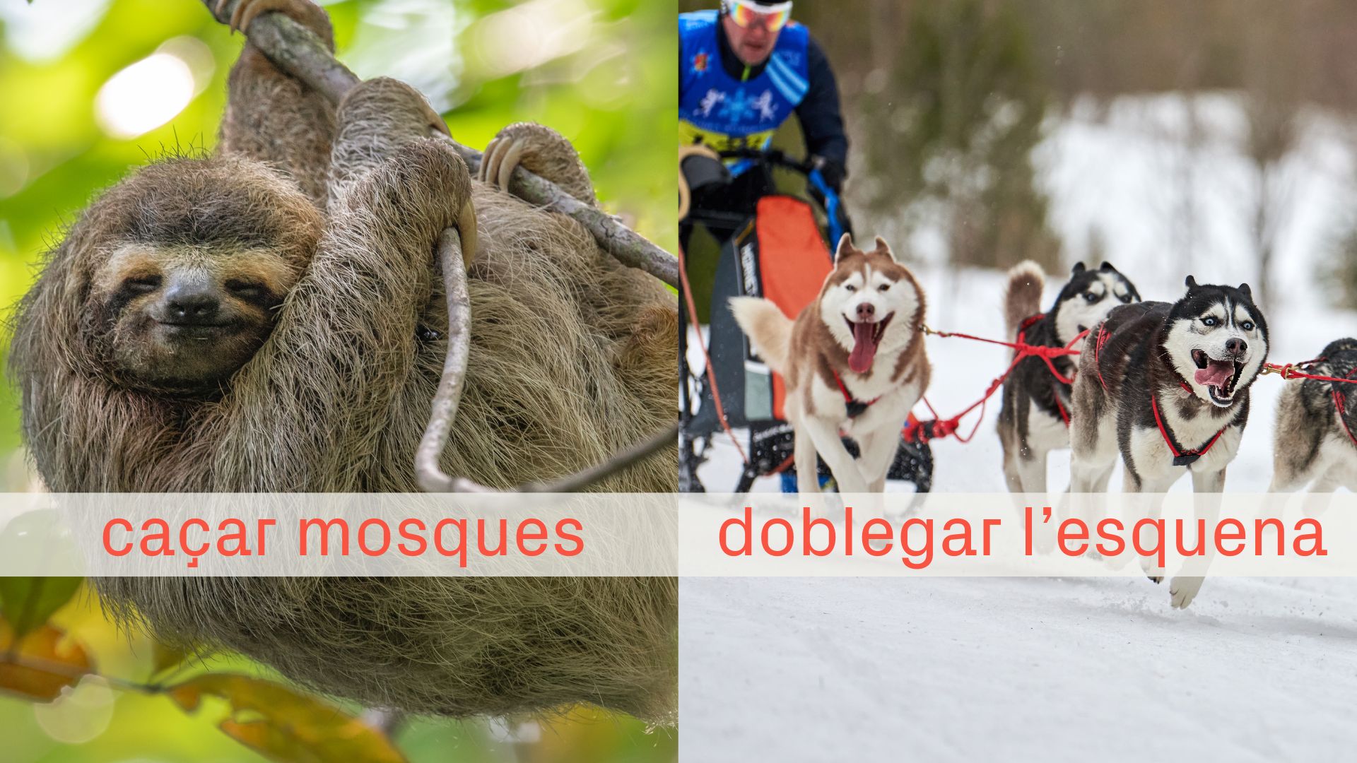 1 de maig: frases fetes per al pencaire excessiu i per al que caça mosques | 1 de maig, català, llengua, Mots endiumenjats, treballadors
