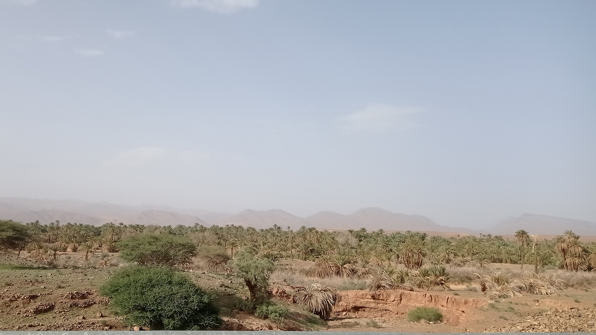 olivier pols sahara suspensio marroc