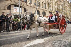 Ajornada la cavalcada dels Tres Tombs de Sant Antoni per la previsió de pluja