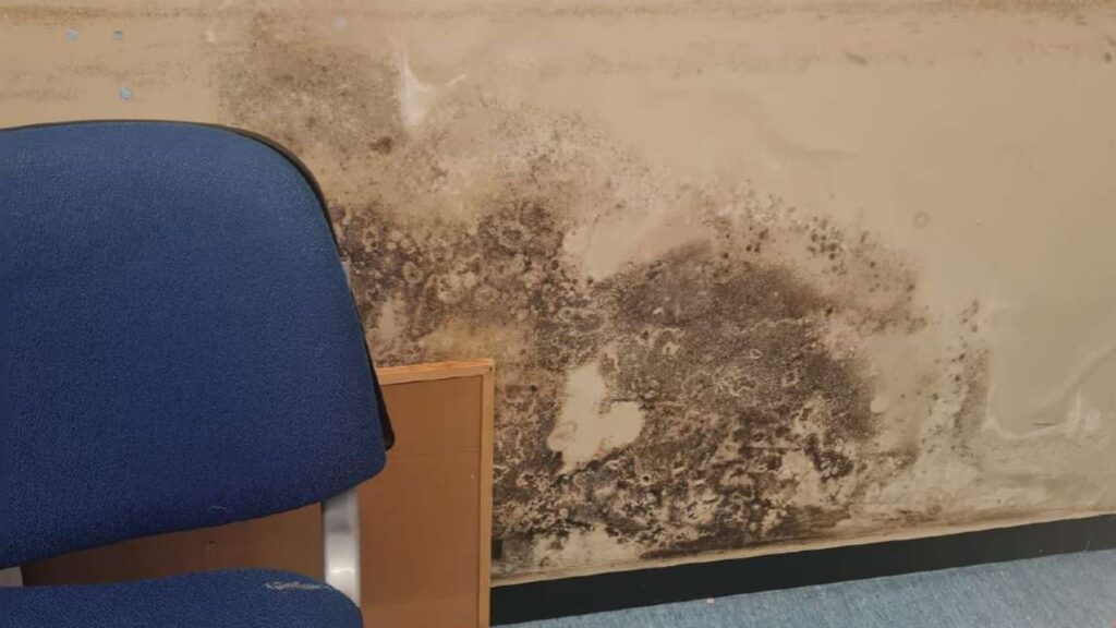 Les famílies de l'EBM Llar d'Infants, a Horta, denuncien insalubritat i esquerdes al centre | escola, escoles bressol, infància, queixes veïnals