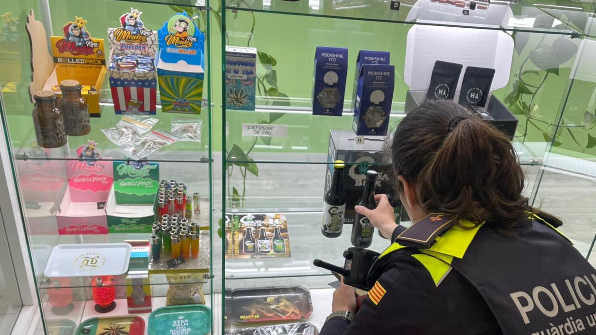 inspecció botigues cànnabis