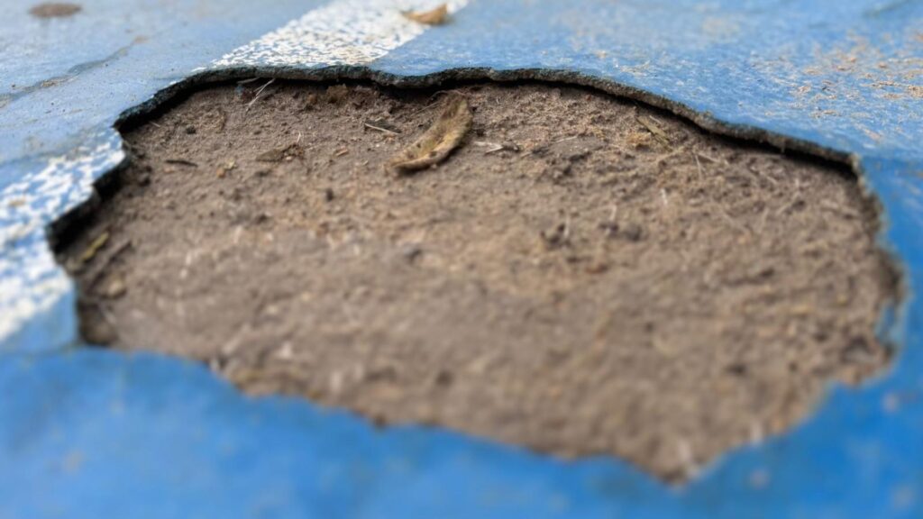 Pressupostos participatius per accelerar millores a centres educatius: "No crec que sigui el camí" | equipaments, escoles, infraestructures, instituts