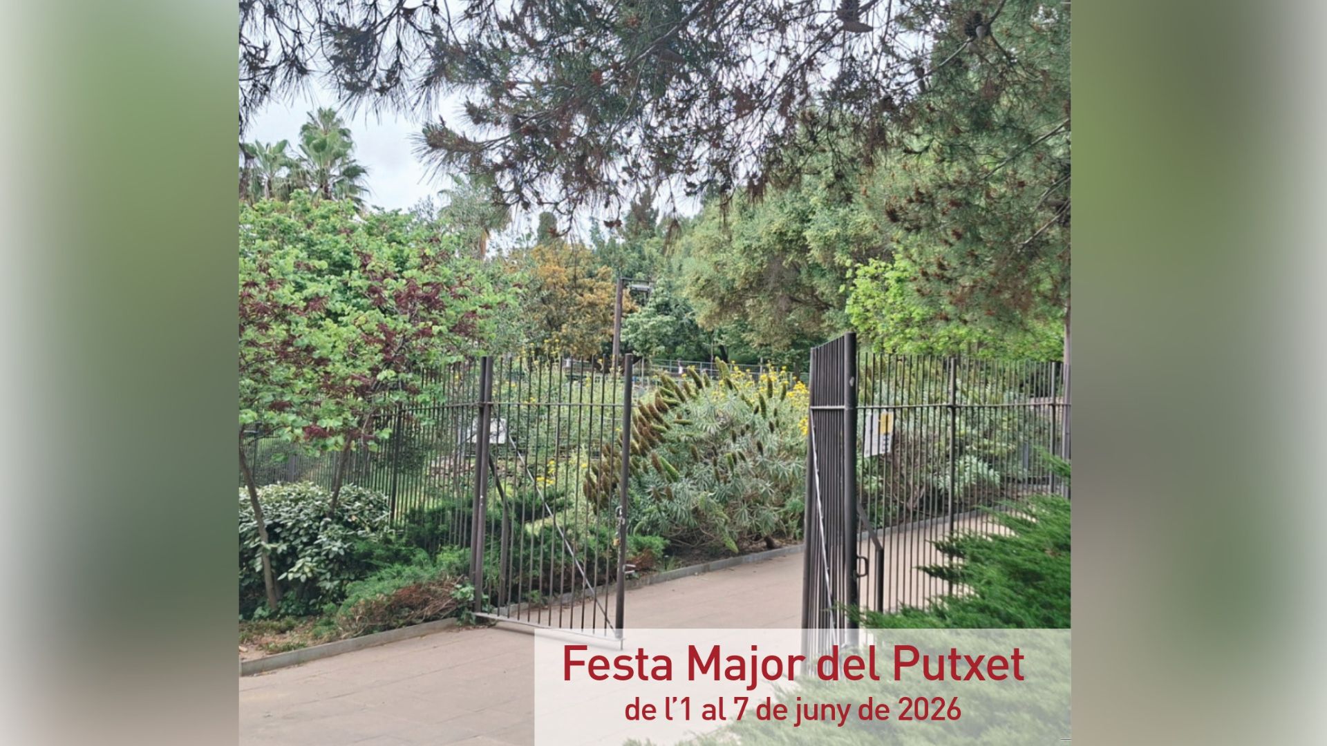 Cartell festa major del putxet 2026