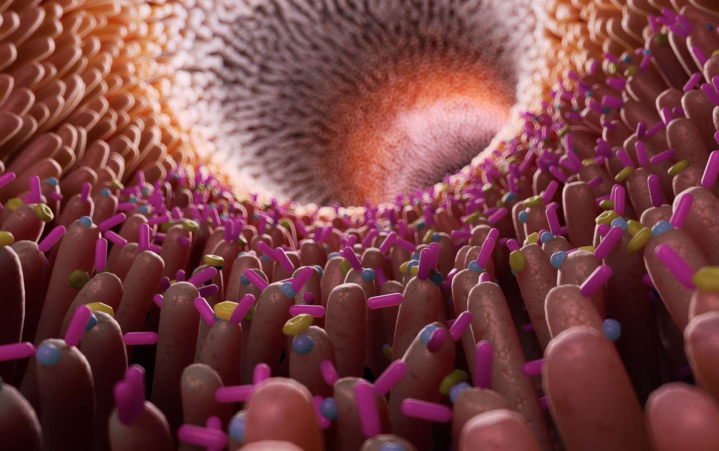 Xavier Aldeguer (Hospital Josep Trueta): "Som més bacteris que humans" | alimentació, hospitals, Institut Català de la Salut, salut mental