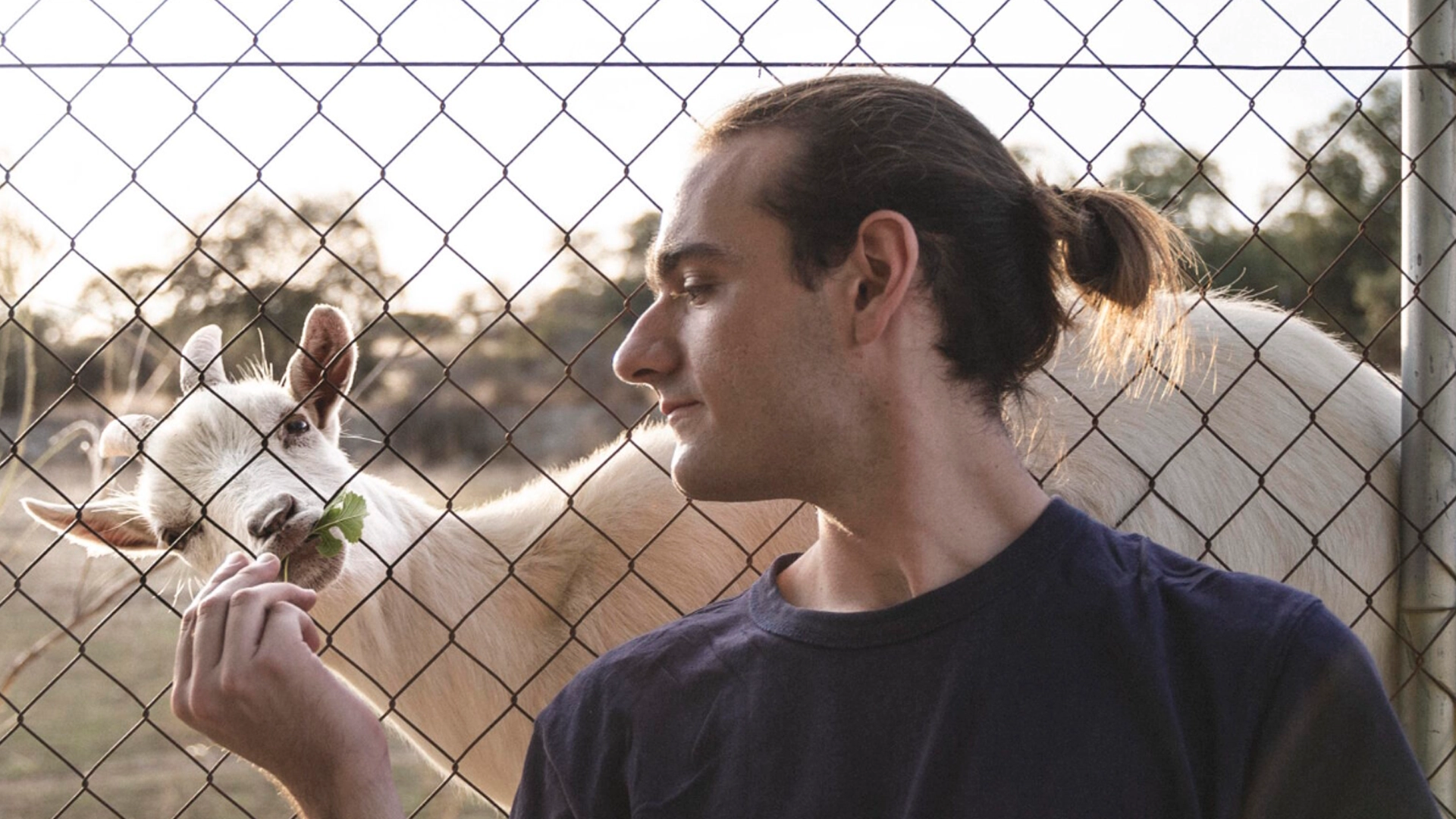 El ball de graduació de Fermí | música en viu, pòdcast, ràdio