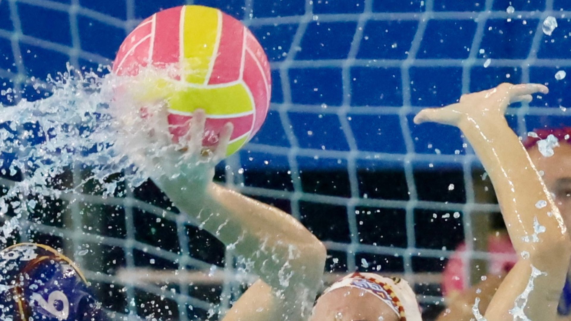 Plantilles equips waterpolo Divisió d'honor 2025-2026