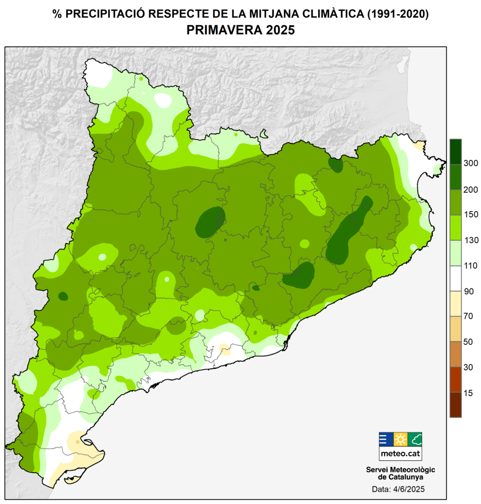 Catalunya ha viscut una de les primaveres més plujoses de les darreres dècades | Barcelona, embassaments, pluja, sequera
