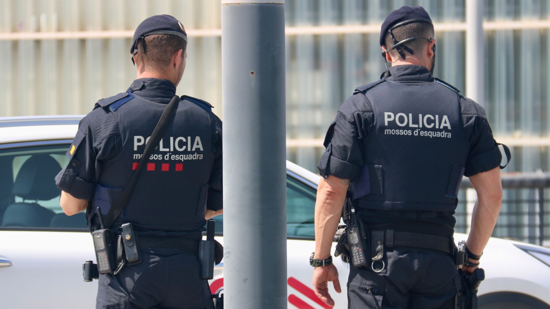 Mossos