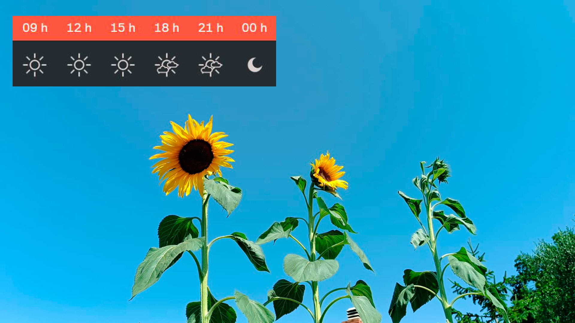 previsio-temps-1-juliol-2025