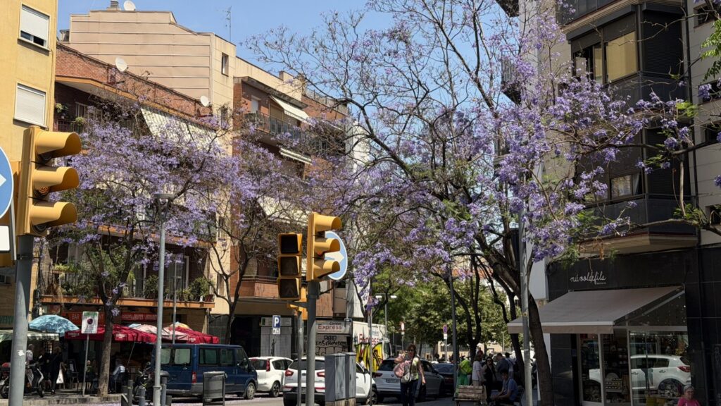 punt-optim-floracio-xicranda-barcelona-2