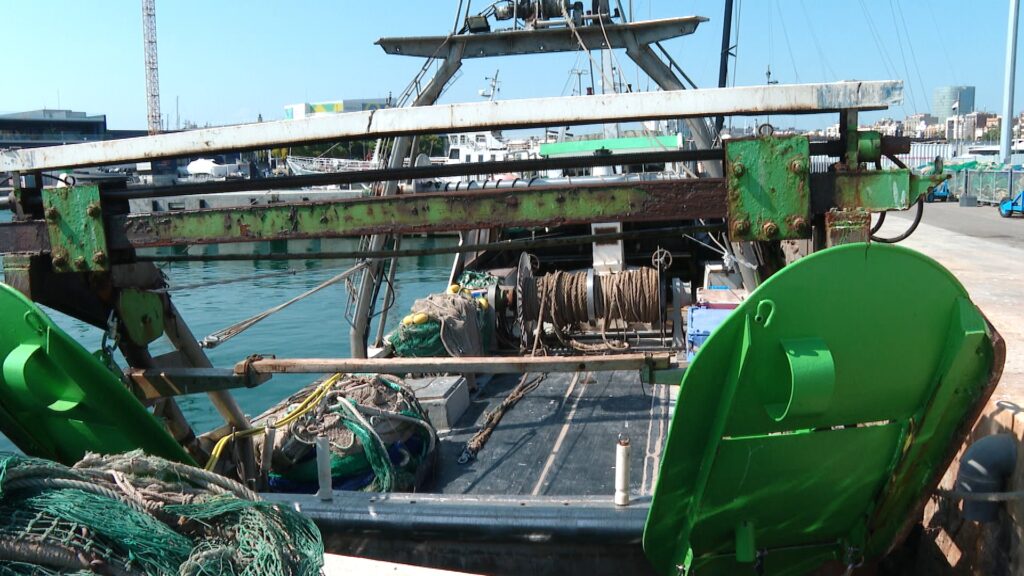 Onada de calor al mar, amb afectacions greus: "Les pluges poden ser més intenses" | mar Mediterrani, onada de calor