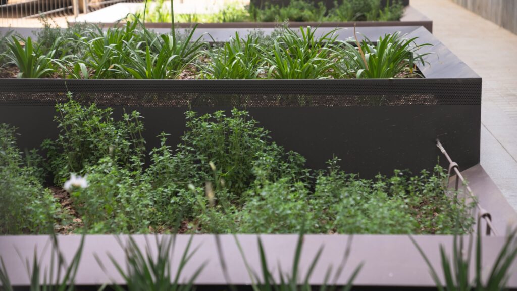 jardins emma eixample