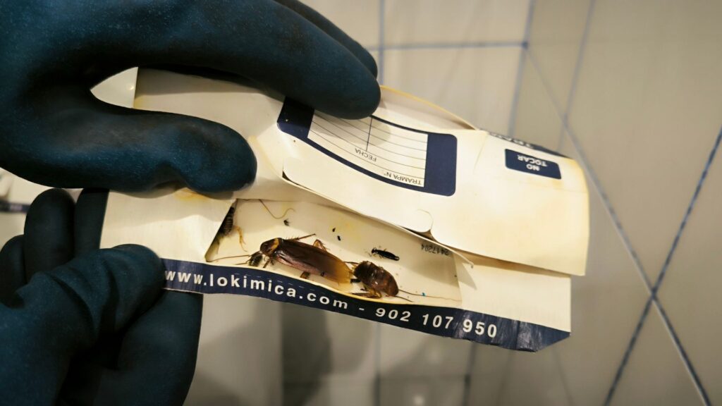 control plagues paneroles