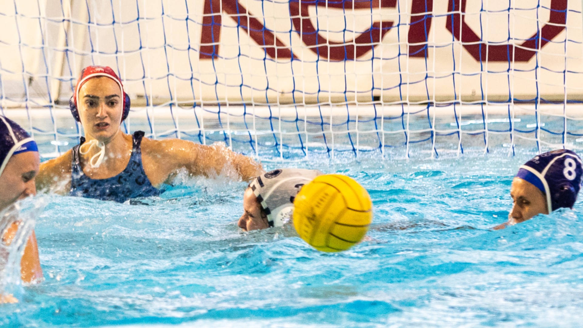 Rivals CN Sant Andreu competicions europees