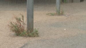 Activat en fase d’alerta el Pla d’emergència municipal per insuficiència drenant a Barcelona