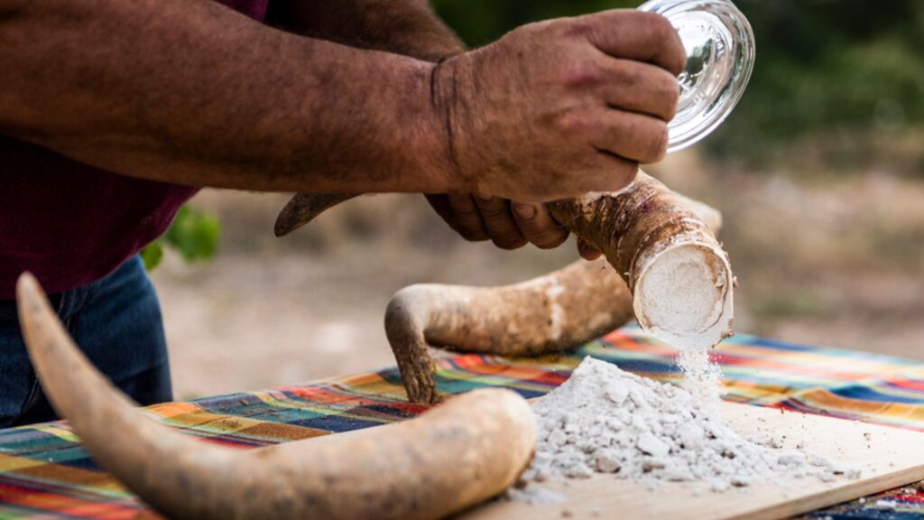 Vins biodinàmics: "Respecte màxim a la connexió entre l'ésser humà i la naturalesa" | locals, patrimoni històric, vins