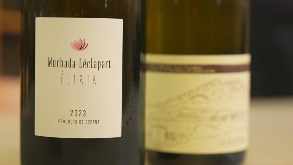 Vins biodinàmics: "Respecte màxim a la connexió entre l'ésser humà i la naturalesa" | locals, patrimoni històric, vins