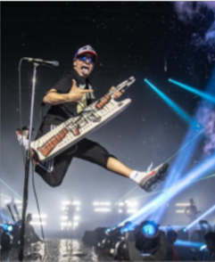 15 concerts d'aquesta tardor per a tots els paladars | concerts, El Molino, Estadi Olímpic Lluís Companys, Gran Teatre del Liceu, música en viu, Palau de la Música Catalana, Palau Sant Jordi, Sala Razzmatazz