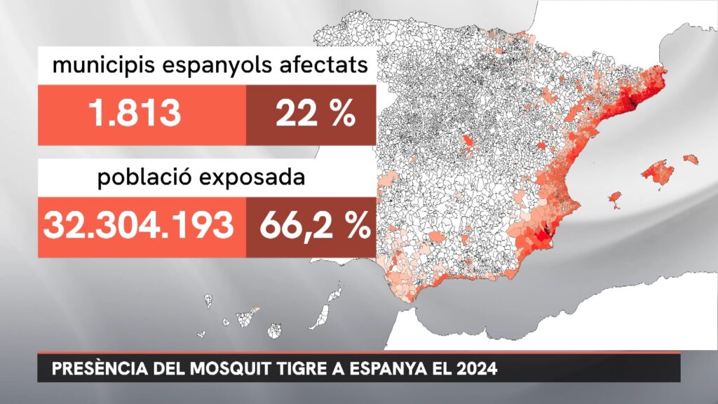 Arriba el primer mapa que localitza amb precisió el mosquit tigre al territori | canvi climàtic, mosquit tigre, salut pública