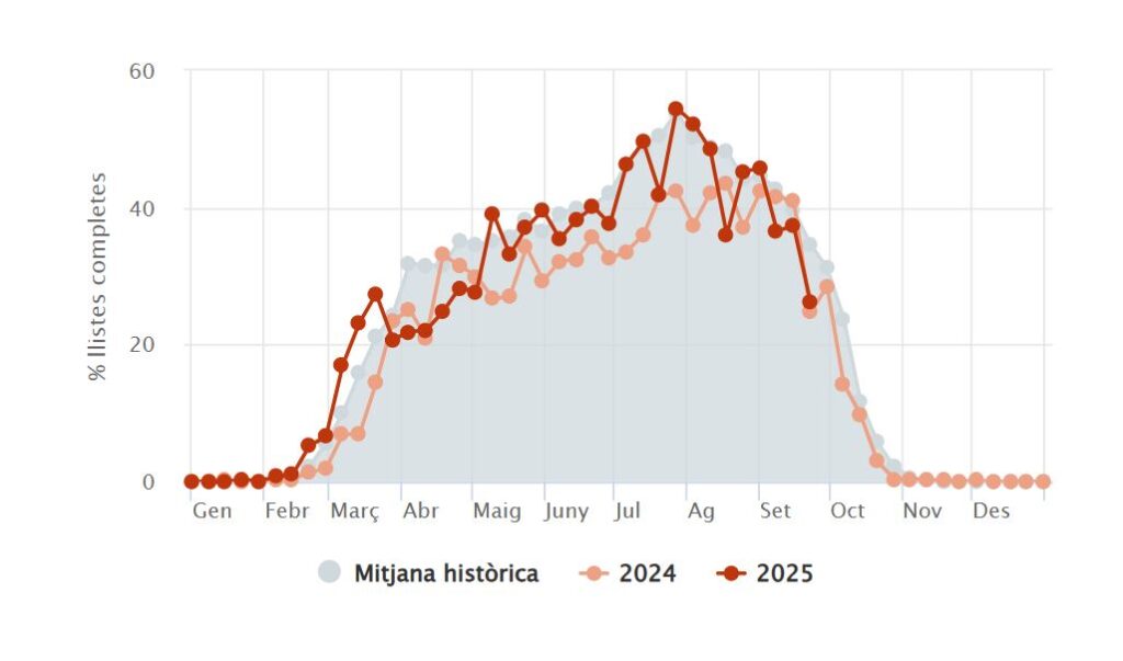 Les orenetes ja marxen de Barcelona i Catalunya: avança la migració cap a l'Àfrica | animals