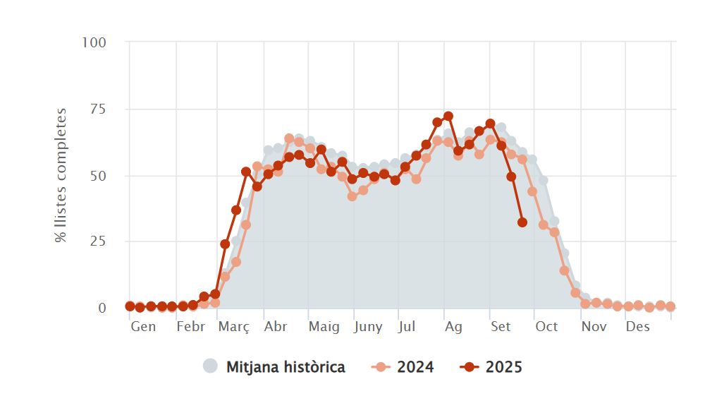 Les orenetes ja marxen de Barcelona i Catalunya: avança la migració cap a l'Àfrica | animals